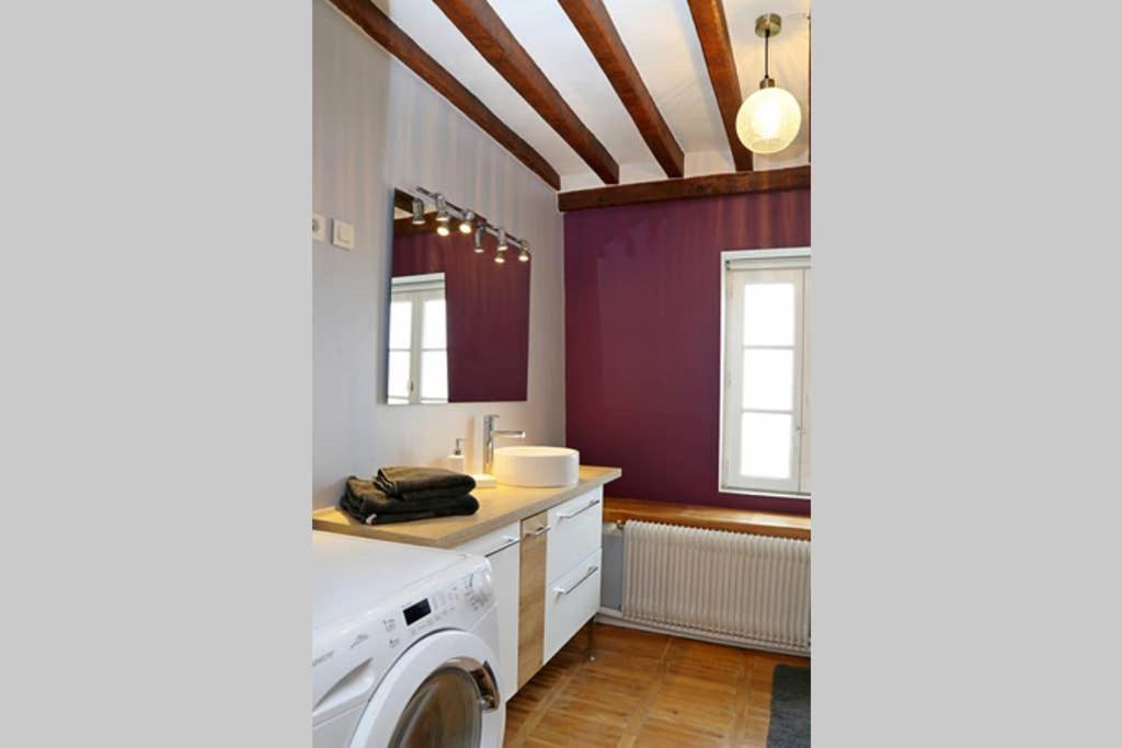 Superbe Appartement Proche Disney Meaux Kültér fotó